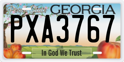 GA license plate PXA3767