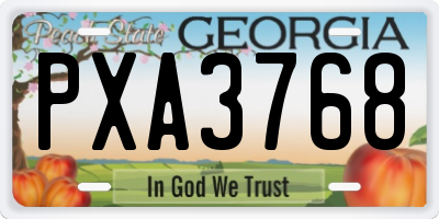 GA license plate PXA3768
