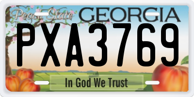 GA license plate PXA3769