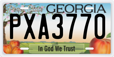 GA license plate PXA3770