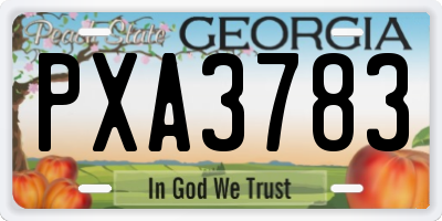 GA license plate PXA3783