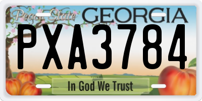 GA license plate PXA3784