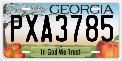 GA license plate PXA3785