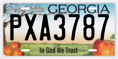 GA license plate PXA3787