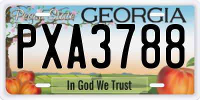 GA license plate PXA3788