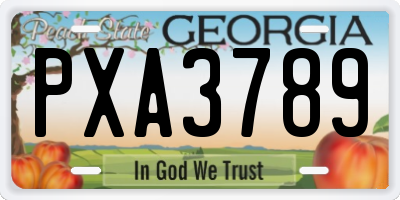 GA license plate PXA3789