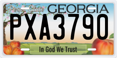 GA license plate PXA3790