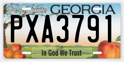 GA license plate PXA3791
