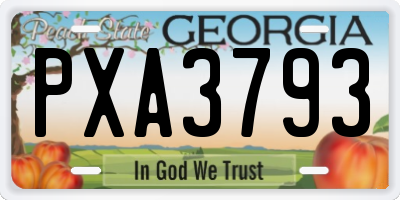 GA license plate PXA3793