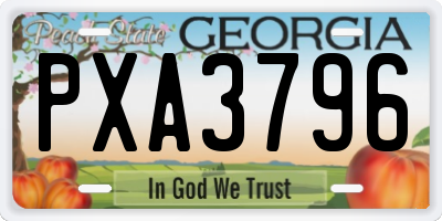 GA license plate PXA3796