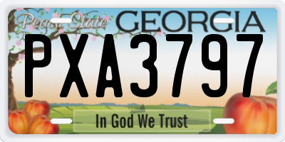 GA license plate PXA3797