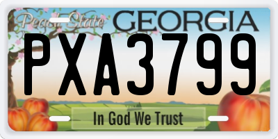 GA license plate PXA3799