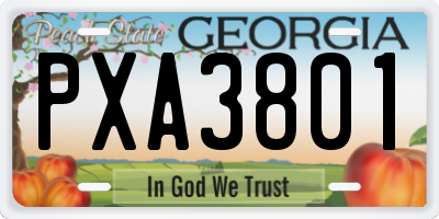 GA license plate PXA3801