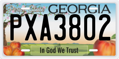 GA license plate PXA3802