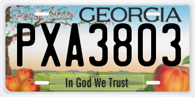 GA license plate PXA3803