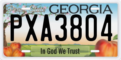 GA license plate PXA3804