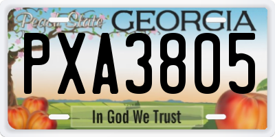 GA license plate PXA3805