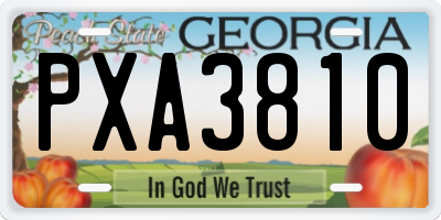 GA license plate PXA3810