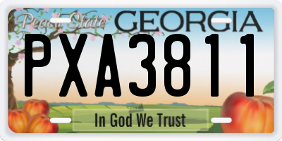 GA license plate PXA3811