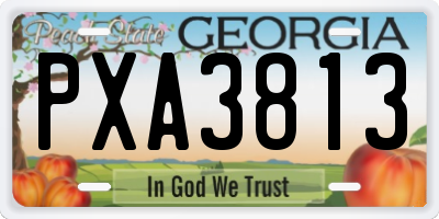 GA license plate PXA3813