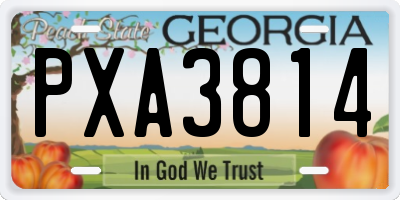 GA license plate PXA3814