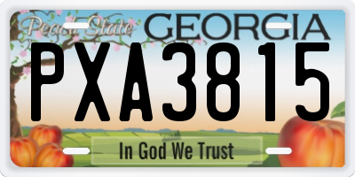 GA license plate PXA3815