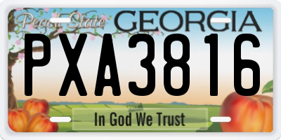 GA license plate PXA3816
