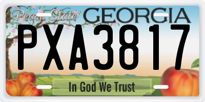 GA license plate PXA3817