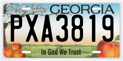 GA license plate PXA3819