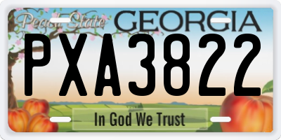 GA license plate PXA3822