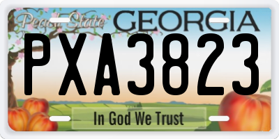 GA license plate PXA3823