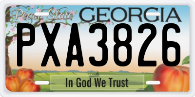 GA license plate PXA3826