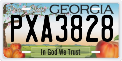 GA license plate PXA3828
