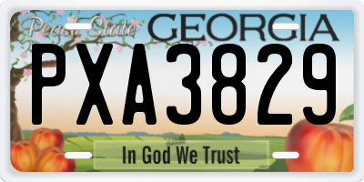 GA license plate PXA3829