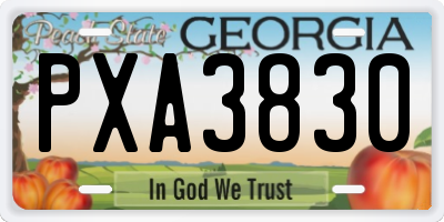 GA license plate PXA3830