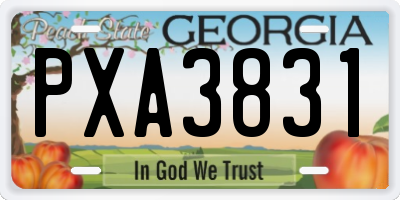 GA license plate PXA3831