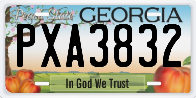 GA license plate PXA3832