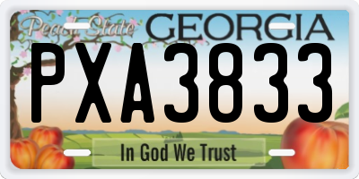 GA license plate PXA3833