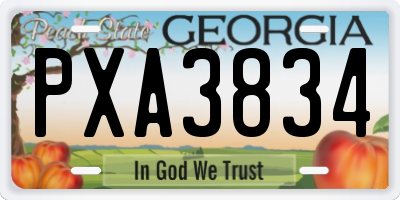 GA license plate PXA3834