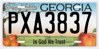 GA license plate PXA3837