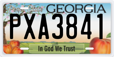 GA license plate PXA3841