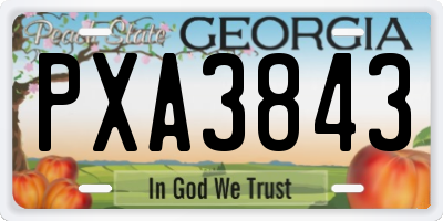 GA license plate PXA3843