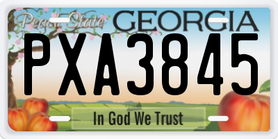 GA license plate PXA3845