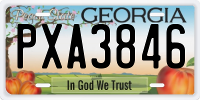 GA license plate PXA3846