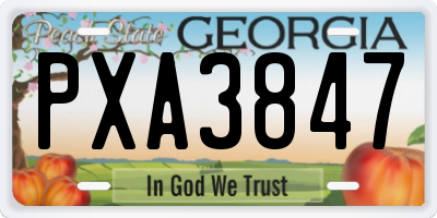 GA license plate PXA3847