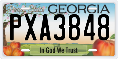 GA license plate PXA3848