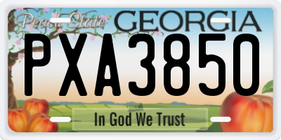 GA license plate PXA3850