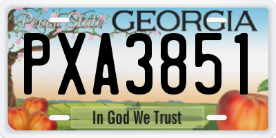 GA license plate PXA3851