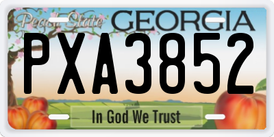 GA license plate PXA3852