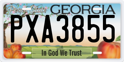 GA license plate PXA3855